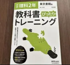 Item thumbnail for item 6700cf18-50d9-4679-9458-fe21f5070337