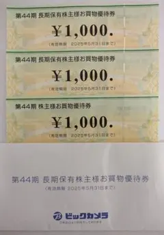 ビックカメラ優待券　3000円分