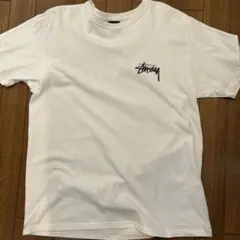 Stussy トゥカンプリント Tシャツ Mサイズ