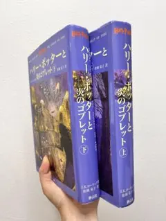 Item thumbnail for item 371d4491-f12d-4f1d-ac2b-1c17e5b2e4ac