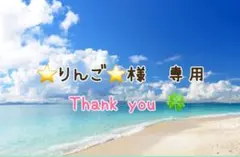 ⭐️りんご⭐️様　専用