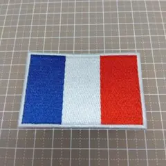 【Lサイズ】アイロンワッペン　フランス国旗　フランス　パリ　トリコロール