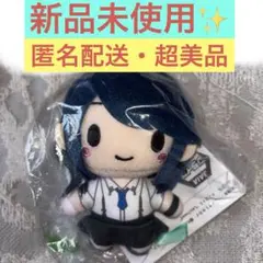 【新品未使用】 劇場版プロジェクトセカイ ふわぷち マスコット 星乃一歌