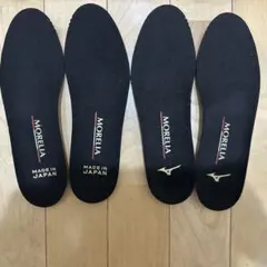 スパイクのインソール23cm
