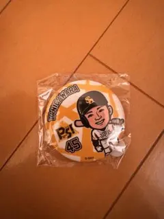 福岡ソフトバンクホークス　若鷹ガチャ　缶バッチ　谷川原健太選手