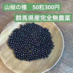 3909○150粒以上山椒の種京都丹波産①送込￥320［260525］ - メルカリ