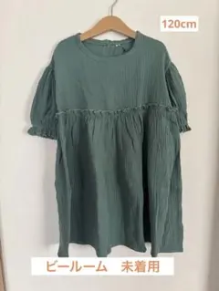 Item thumbnail for item 195b3792-9e96-4e3d-a1cb-52da6a8f6577