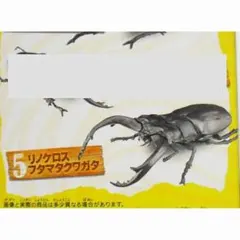 リノケロスフタマタクワガタ 未開封のまま発送 昆虫ハンター エフトイズ　新品