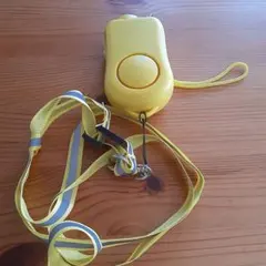 Item thumbnail for item 6392993e-e0d8-4804-8f34-2f7890ac4d8b