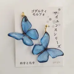 2025年最新】モルフォ 標本の人気アイテム - メルカリ