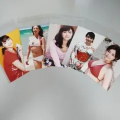 新井恵理那写真★5枚セット