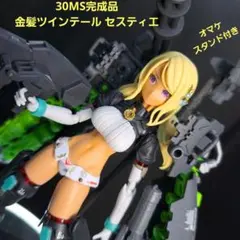 ガ*バ様 4点セット 30MS セスティエ オプションパーツ スカート付き ガ*バ様 4点セット 30MS セスティエ オプションパーツ スカート付き