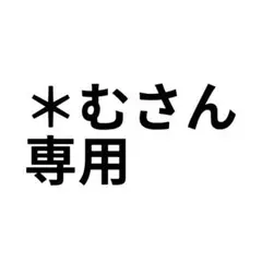 ＊むさん専用ページです　5点まとめ売り