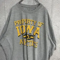 アディダス　アイオワ大学　カレッジ　チームロゴ　ビックサイズTシャツ3XLT