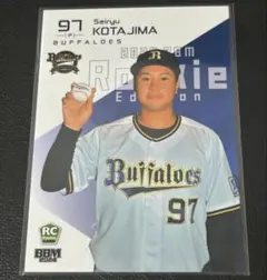 Item thumbnail for item 857064e2-ad56-4e48-81da-9a96b0748a58