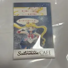 非売品⭐︎美少女戦士セーラームーンRポスター　レア　武内直子　只野和子　未使用品 非売品⭐︎美少女戦士セーラームーンRポスター レア 武内直子 只野和子