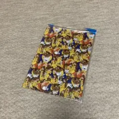 ディズニーリゾート クリアファイル