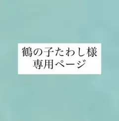 専用ページのサムネイル