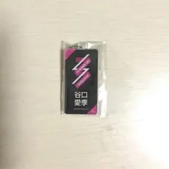 櫻坂46 谷口愛季 3期生ライブ カプセルトイ ネームアクリルキーホルダー