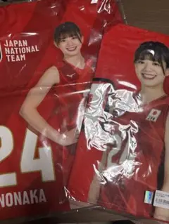 ネーションズリーグ タオル　巾着　野中瑠衣 女子バレーグッズ　2点