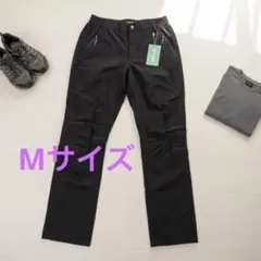 Item thumbnail for item 6a4c564e-d95f-488b-9361-6254d7463752