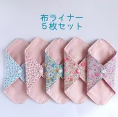 Item thumbnail for item d8f4c050-cb1d-4175-a109-57e6fed5f000