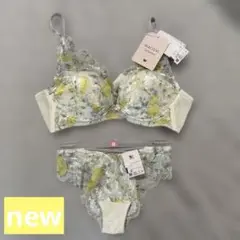 ワコール　ブラジャー　ショーツ　セットのサムネイル