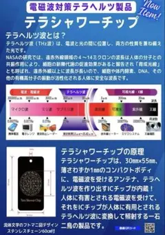 2026年最新】テラチップの人気アイテム - メルカリ