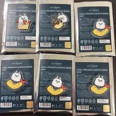 TXT スビン プルバトゥ ヨンモン ご当地 アクリルピンバッジ