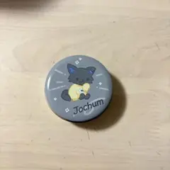 ジェオチャム キャラクター缶バッジ ピーハイ - メルカリ