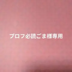 プロフ必読ごま様専用ページ