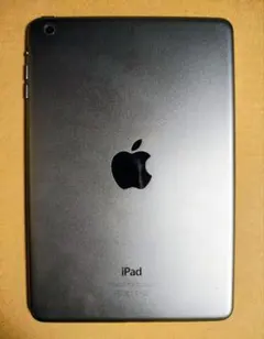 Apple iPad mini 2 スペースグレー 16GB