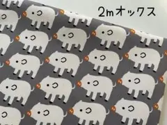 2m　ブーブーピッグ　ブタ　オックス　生地　コットン　グレー　488