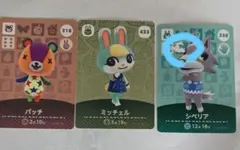 ねこ様専用トレーディングカードセット（パンダ・ミッジ・シベリア）