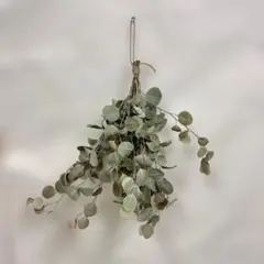 Item thumbnail for item 0b123fa5-45f6-44f8-baa4-0168c0ced01f