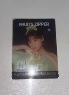 FRUITSZIPPER 櫻井優衣 トレカ クリアトレカ ビックエコー コラボ