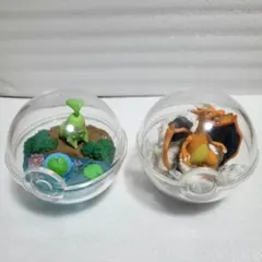 ポケモン　テラリウムコレクション　チコリータ　ウパー　リザードン