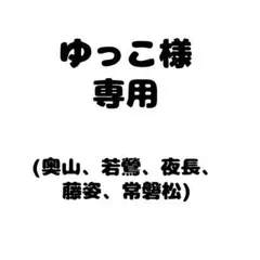 ゆっこ様専用 万年筆インク5種