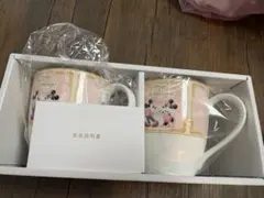 Disney's Fairy Tale Weddings ディズニー　ペアカップ
