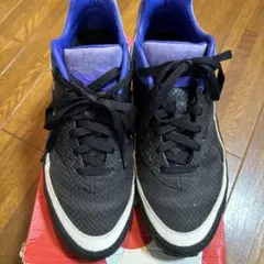 Nike Air Max Bw Premium 【超希少☺︎】