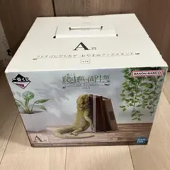 一番くじ 爬虫類＆両生類 A賞 フトアゴヒゲトカゲ おやすみブック