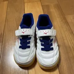Mizuno ホワイト/レッドシューズ