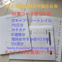 2025年浜学園小6 灘中強化本部　語彙力、カタカナ 、理科おやすみ前10分間 2026年最新】灘外来語の人気アイテム - メルカリ