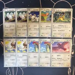 ポケモンカード ポッポ ピジョン ピジョット 進化ラインセット タッグ