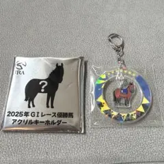 wellcomeチャンス　JRA アクリルキーホルダー ディープインパクト