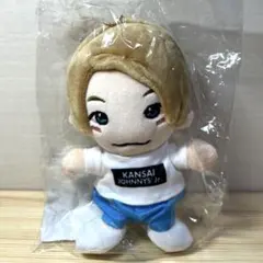 【即購入OK】Aぇgroup 正門良規 ちびぬい
