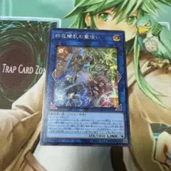 遊戯王　四花繚乱の霊使い　シークレット