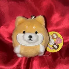 リラックマ ボールチェーン付き ほんのりほっぺまんまる ぬいぐるみ