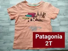 Patagonia キッズTシャツ 2T キャンプ柄