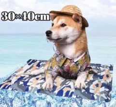 Item thumbnail for item ad8cbbf7-9329-4a91-94c9-ee9de6e1fd55